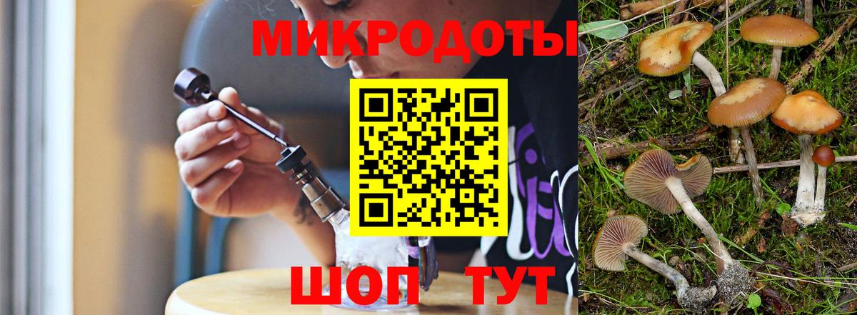 Арсеньев  Галлюциногенные грибы Psilocybine cubensis  Вход с VPN  Галлюциногенные грибы Cubensis 